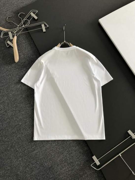 Loro Piana T Shirts Short _SKULoroPianaS-2XLtltx128713